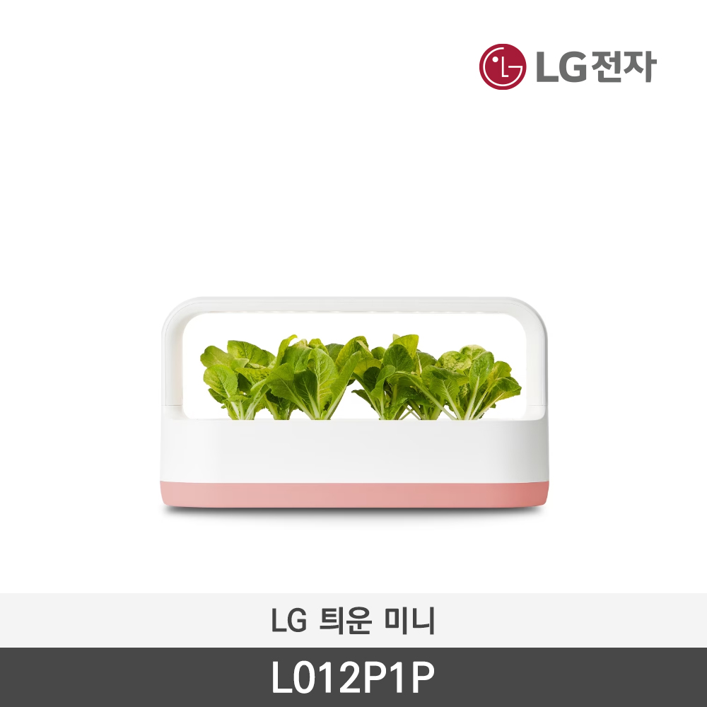 [LG전자] 틔운 미니 L012P1P