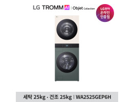 [LG전자] 트롬 AI 오브제컬렉션 워시타워 WA2525GEP6H